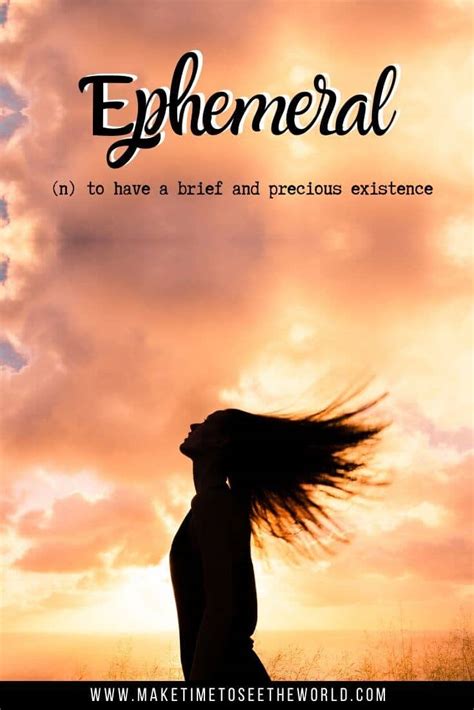 the phrontistery|beautiful words with deep meaning.